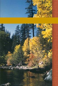 Beautiful scenery from Northern California near Castle Crags state park - home of The Knit Tree